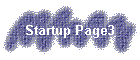 Startup Page3